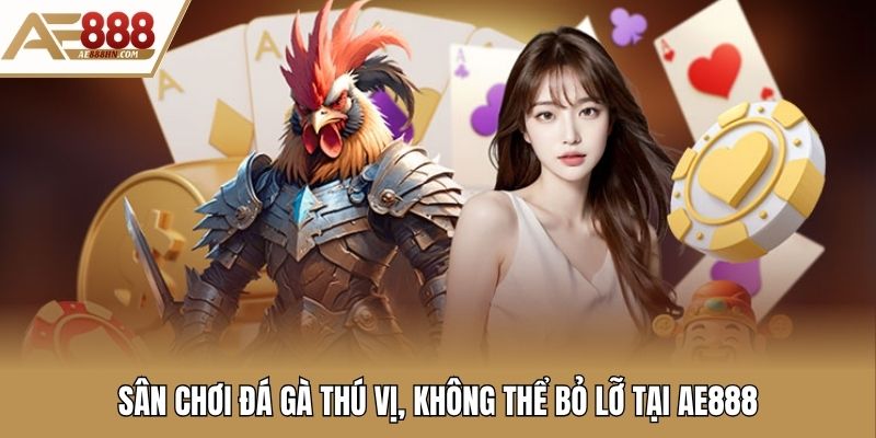 Sân chơi đá gà thú vị, không thể bỏ lỡ tại AE888
