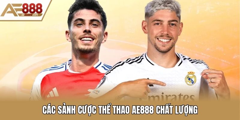 Các sảnh cược thể thao AE888 chất lượng